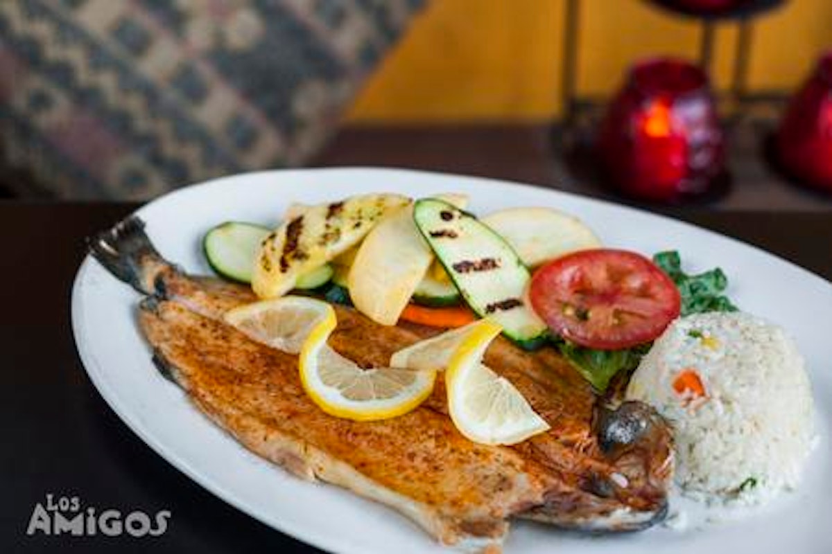 Trout